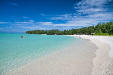 Mauritius Adası. Mavi gökyüzü ile güzel plaj