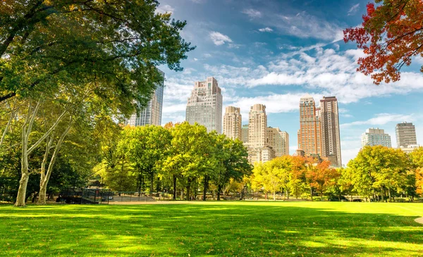 Liści piękne kolory z New York Central Park — Zdjęcie stockowe