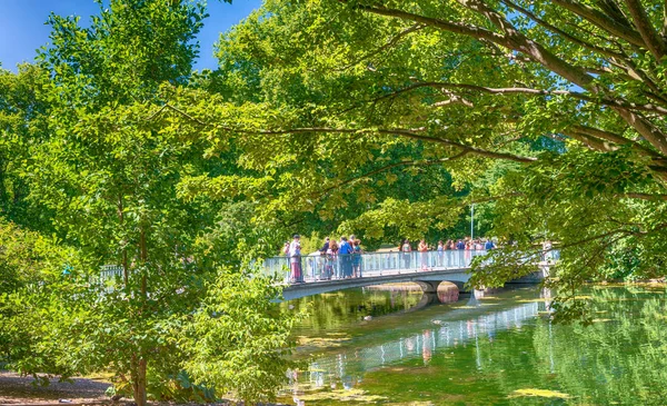 Londen-juni 2015: prachtige bomen en het landschap van Hyde Park w — Stockfoto