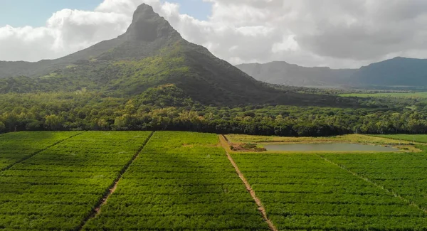 Mt Rempart a Mauritius - Veduta aerea con i paesi circostantisi — Foto Stock