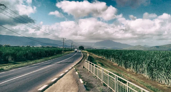 Luchtfoto van Beautiful Road over Sugar Canes — Stockfoto