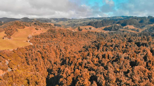 ニュージーランド、ウェイトモ周辺の田園地帯の航空写真 — ストック写真