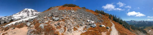 Красивый панорамный вид на гору Рейнир в летний сезон — стоковое фото