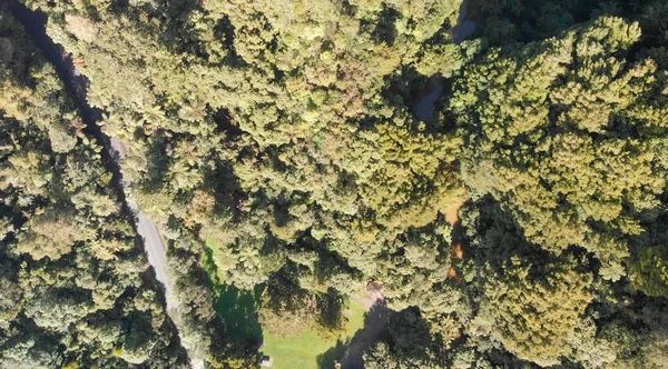 Nuova Zelanda. Veduta aerea di Waitomo con bella campagna i — Foto Stock