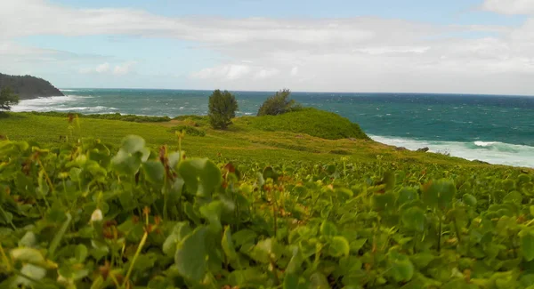 La Roche Qui Pleure na Mauritiusie, Afryka — Zdjęcie stockowe