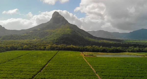 毛里求斯的雷姆帕山 - 与周边乡村的鸟瞰图 — 图库照片