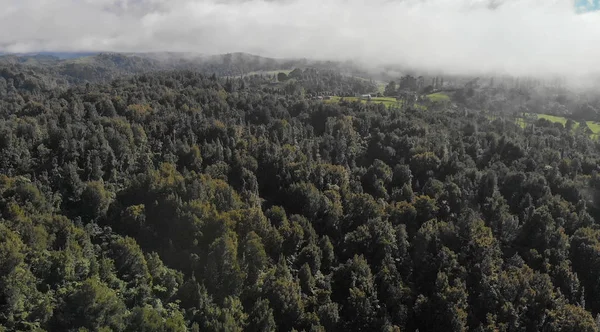 Letecký pohled na krajinu kolem Waitomo, Nový Zéland — Stock fotografie