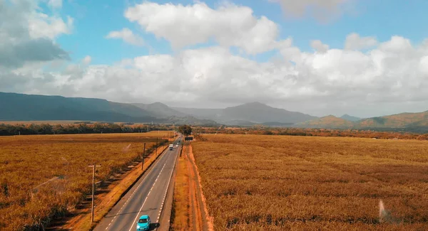 Vista aérea de la hermosa carretera a través de cañas de azúcar — Foto de Stock