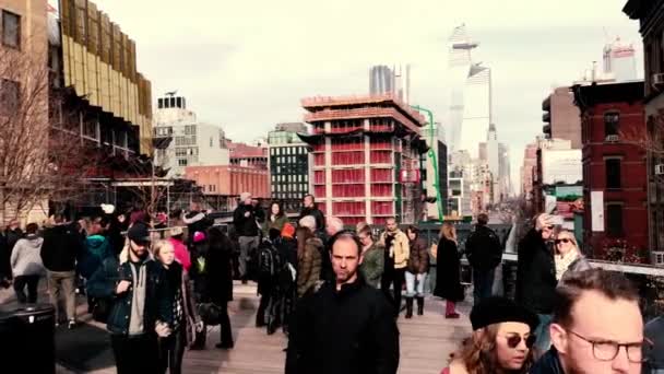 Footage Crowd People Walking High Line New York Usa — Stock video