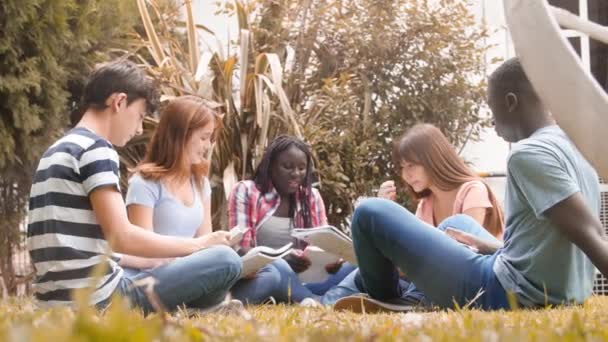 Séquences Élèves Étudiant Sur Herbe Lycée — Video