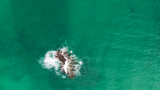 Imágenes Aéreas Escénicas Las Rocas Los Doce Apóstoles Victoria Australia — Vídeos de Stock