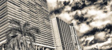Güneşli bir günde, Florida Miami Downtown binalar