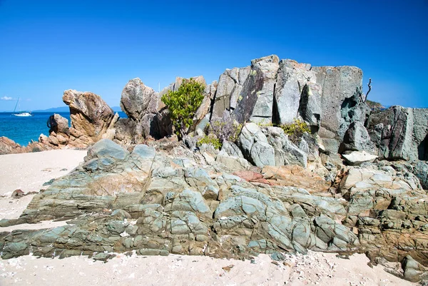 Tropical island vegetation against blue sky — Stock Photo, Image