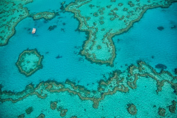 Gran Barrera de Coral Natural en Queensland. Vista aérea de la naturaleza — Foto de Stock