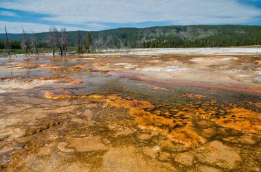 Bisküvi Havzası, Yellowstone Ulusal Parkı, Wyoming