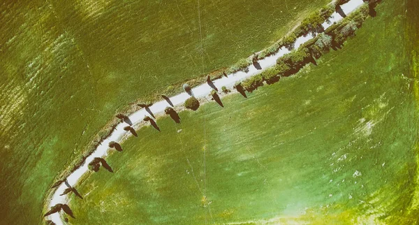 Úžasný letecký pohled na Toskánsko venkov klikaté silnici v protipo — Stock fotografie