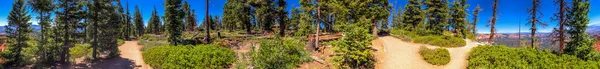 Panoramatický výhled na lesy v Bryce Canyon National Park — Stock fotografie