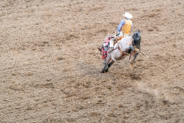 Cody Rodeo Rider i Wyoming. Scen med häst och man — Stockfoto