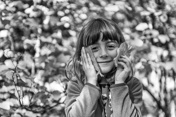 紅葉の季節に2枚の葉を持つかわいい若い女の子、ニューエングラン — ストック写真
