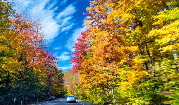新英格兰路在树叶季节，模糊的看法。东北大学 — 图库照片
