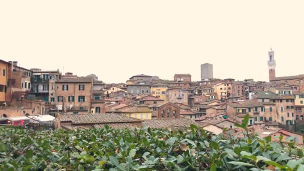 Footage Small Ancient City Leaves Foreground — 비디오