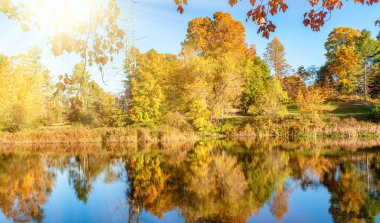 Yeşillik sezonunda Vermont'taki göl yansımaları