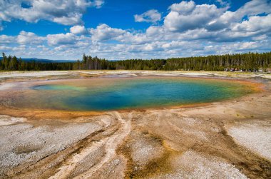 Grand Prismatic Spring Gayzer, Yellowstone Ulusal Parkı