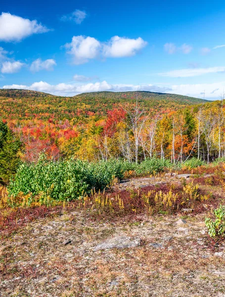 Parque Nacional da Acadia em outubro, Maine — Fotografia de Stock