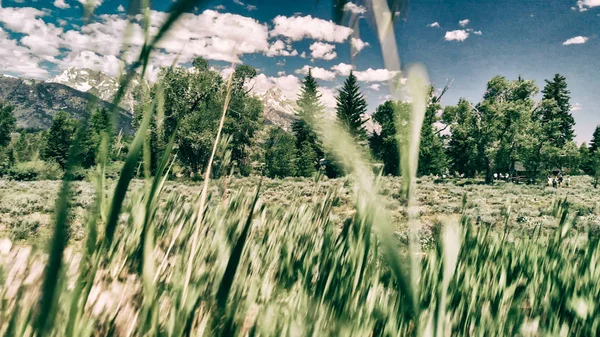 Vista del suelo de los picos de Grand Teton y el paisaje en una hermosa s — Foto de Stock