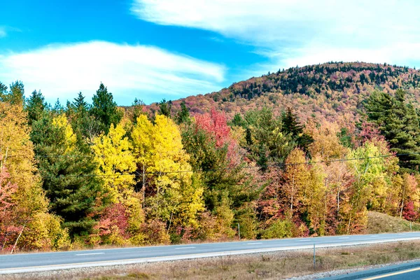 Yol boyunca New England'da sarı, kırmızı ve yeşil ağaçlar — Stok fotoğraf
