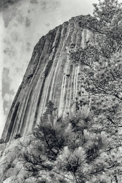 Devil's Tower Monumento Nazionale, Wyoming — Foto Stock