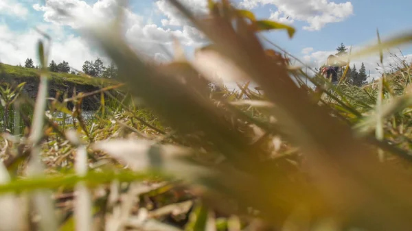 Vue aérienne des sommets Grand Teton, du paysage et de la rivière Snake sur une — Photo