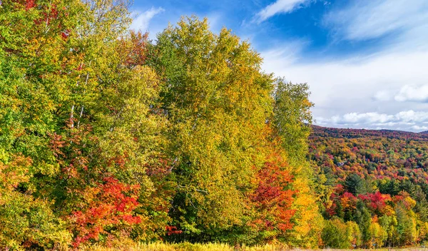 Ландшафт Нової Англії в сезоні листя, Жовтень в США — стокове фото