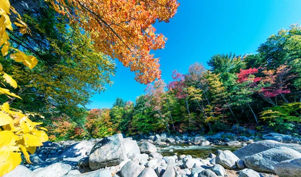 Gebladerte in Lower Falls (New Hampshire) — Stockfoto