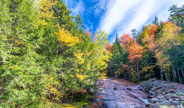 Red, green and yellow trees of New England with creek in October — Stock Photo, Image