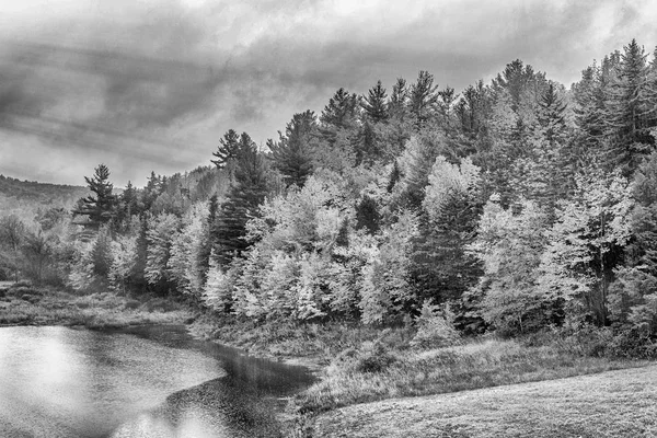 New England'da yaprak yansımaları. Göl ve ağaçlar — Stok fotoğraf