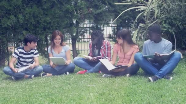 Imágenes Estudiantes Que Estudian Hierba Escuela Secundaria — Vídeos de Stock