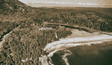 Sonbahar mevsiminde ormanların monokromatik havadan görünümü