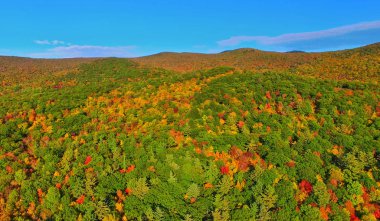 Sonbaharda kalın ormanın havadan görünümü, Ekim ayında yeşillik mevsimi