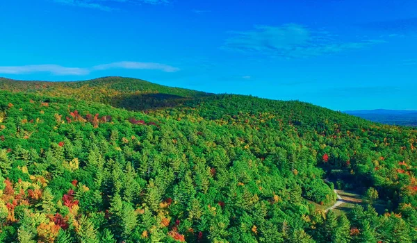 Vista aérea de drones del bosque otoñal. Colores del follaje perspectiva aérea —  Fotos de Stock