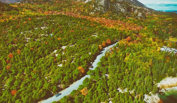 Vista aérea del espeso bosque en otoño, temporada de follaje en octubre — Foto de Stock