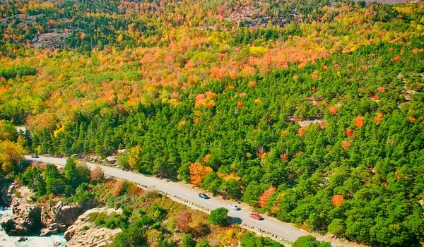 Bella strada attraverso i boschi in stagione fogliare, vista aerea — Foto Stock