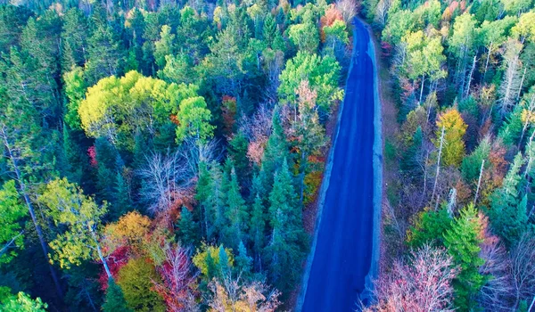 Yeşillik sezonunda ormanda güzel bir yol, havadan görünüm — Stok fotoğraf