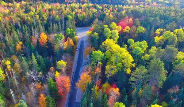 Hermoso camino a través de bosques en temporada de follaje, vista aérea — Foto de Stock