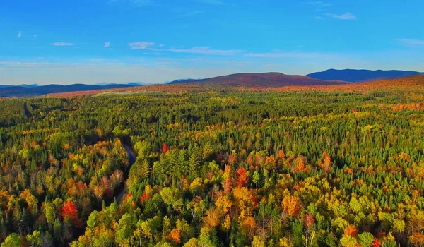 Vista aérea de drones da floresta de outono. Cores da folhagem perspe aérea — Fotografia de Stock