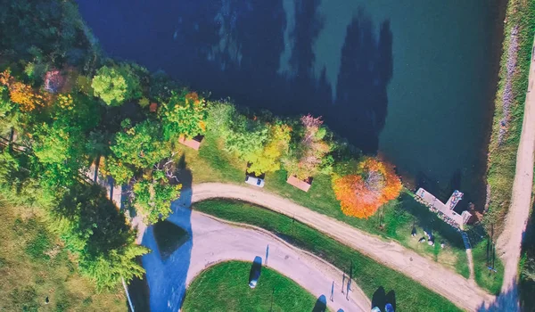 Vista aérea del bosque en temporada de follaje. Verde natural, naranja a — Foto de Stock