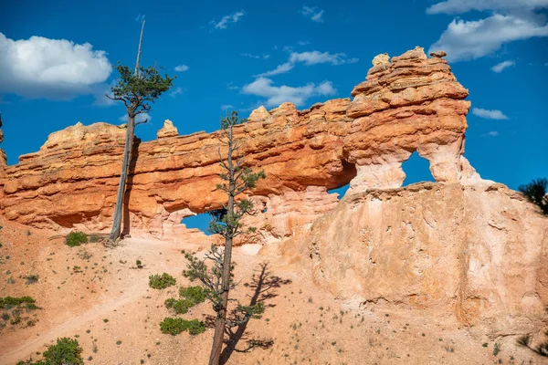 Naturliga valv längs Mossy Cave Trail nära Bryce Canyon, Utah — Stockfoto