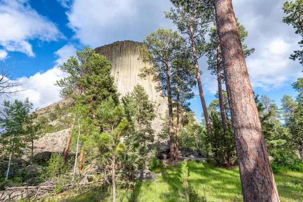 Ďáblové věže obklopené stromy a lesem, Wyoming — Stock fotografie