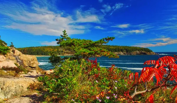 Acadia-Nationalpark von einem hohen Aussichtspunkt in der Laubzeit, ma — Stockfoto