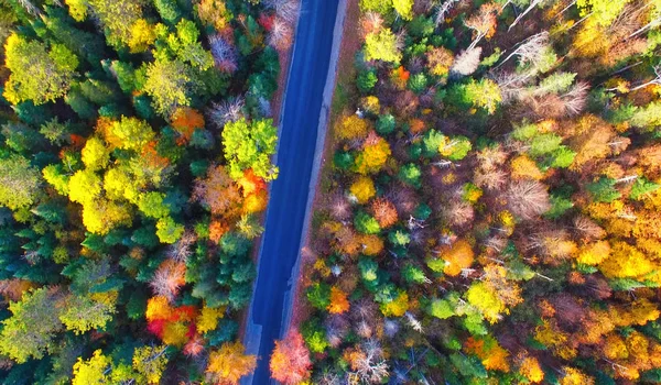 Estrada bonita através de madeiras em época de folhagem, vista aérea — Fotografia de Stock